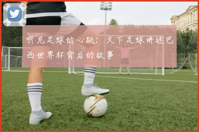 听见足球的心跳:天下足球讲述巴西世界杯背后的故事