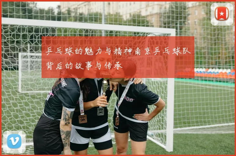 乒乓球的魅力与精神南京乒乓球队背后的故事与传承