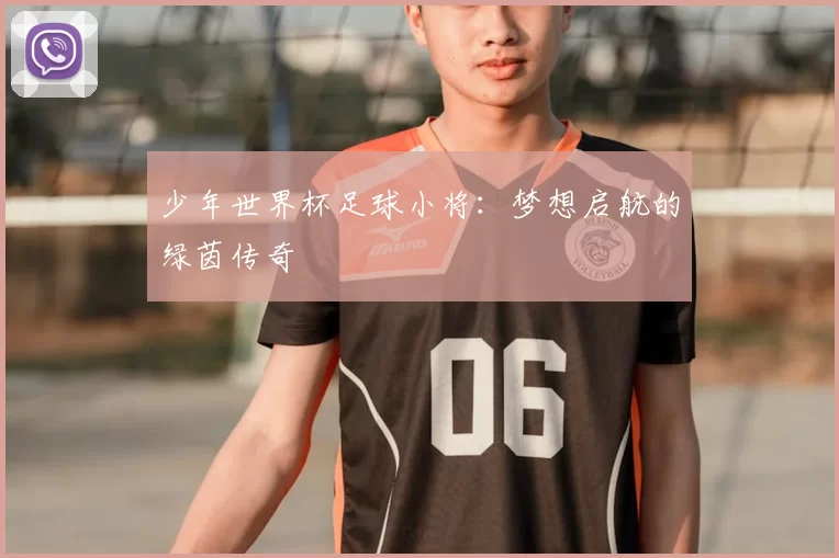 少年世界杯足球小将:梦想启航的绿茵传奇