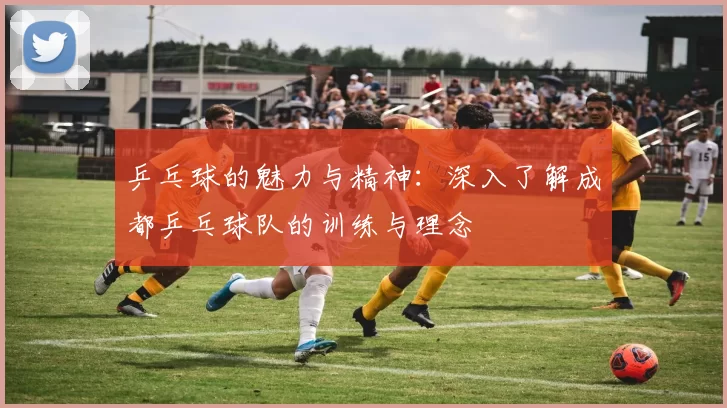 乒乓球的魅力与精神:深入了解成都乒乓球队的训练与理念