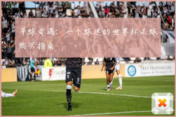 寻球奇遇:一个球迷的世界杯足球购买指南