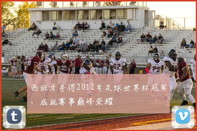 西班牙夺得2012年足球世界杯冠军,成就赛事巅峰荣耀
