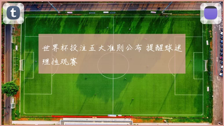 世界杯投注五大准则公布 提醒球迷理性观赛