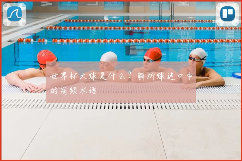 世界杯大球是什么?解析球迷口中的高频术语