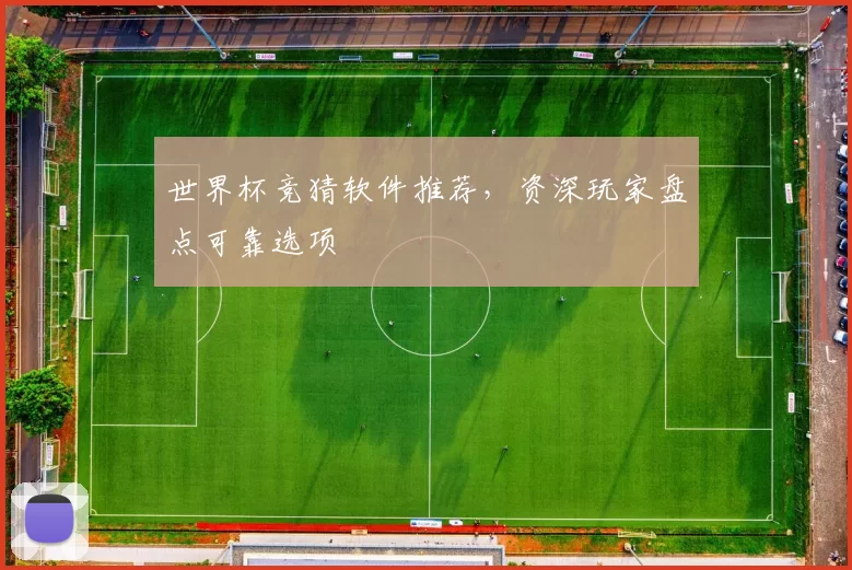 世界杯竞猜软件推荐,资深玩家盘点可靠选项