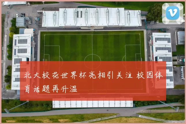 北大校花世界杯亮相引关注 校园体育话题再升温