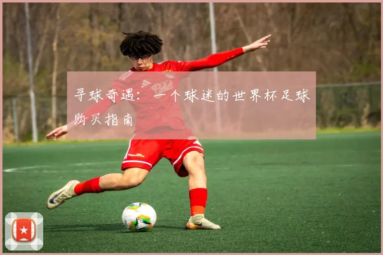 寻球奇遇:一个球迷的世界杯足球购买指南