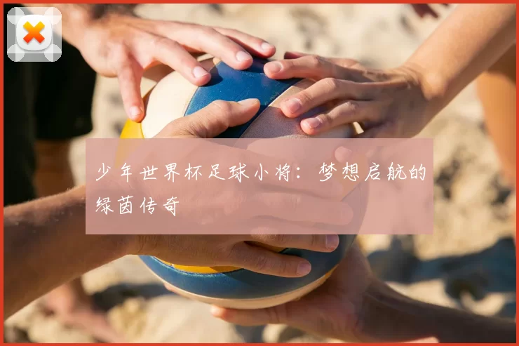少年世界杯足球小将：梦想启航的绿茵传奇