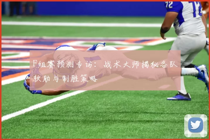 F组赛预测专访:战术大师揭秘各队软肋与制胜策略