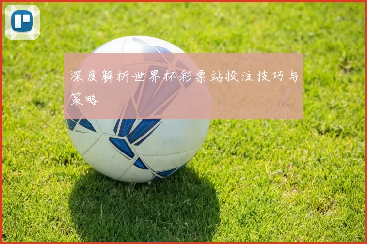 深度解析世界杯彩票站投注技巧与策略